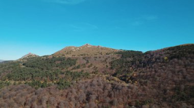 Avrupa 'da güzel renkli yoğun orman