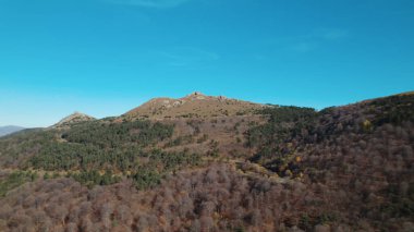 Avrupa 'da güzel renkli yoğun orman