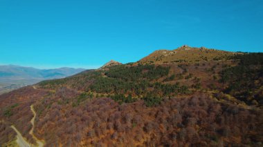 Avrupa 'da güzel renkli yoğun orman