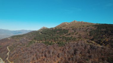 Avrupa 'da güzel renkli yoğun orman