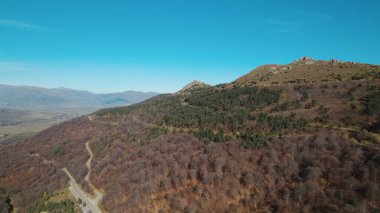 Avrupa 'da güzel renkli yoğun orman