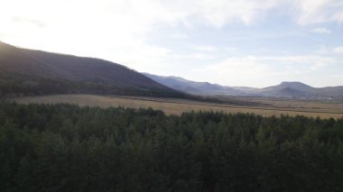 Avrupa 'da güzel renkli yoğun orman