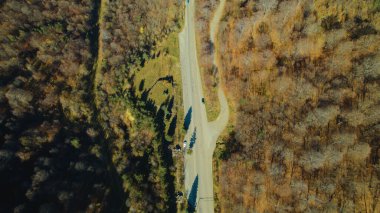 Avrupa 'da güzel renkli yoğun orman