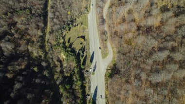 Avrupa 'da güzel renkli yoğun orman