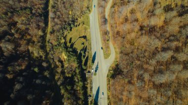 Avrupa 'da güzel renkli yoğun orman