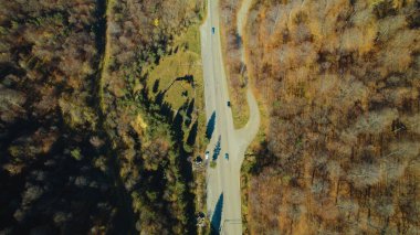 Avrupa 'da güzel renkli yoğun orman