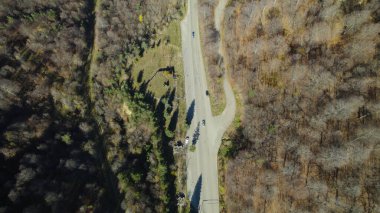 Avrupa 'da güzel renkli yoğun orman