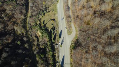 Avrupa 'da güzel renkli yoğun orman