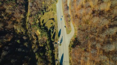 Avrupa 'da güzel renkli yoğun orman