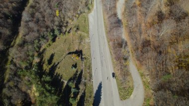 Avrupa 'da güzel renkli yoğun orman