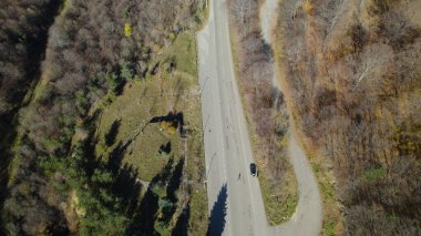 Avrupa 'da güzel renkli yoğun orman