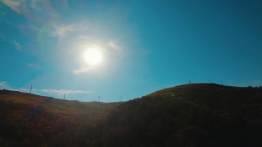 Avrupa 'da güzel renkli yoğun orman