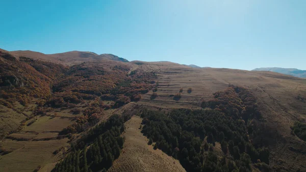 Avrupa 'da güzel renkli yoğun orman