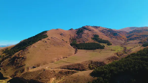 Avrupa 'da güzel renkli yoğun orman