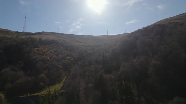 Bella Foresta Densa Colorata Europa — Foto Stock