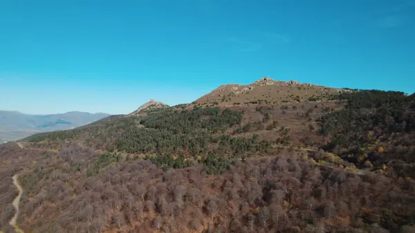 Avrupa 'da güzel renkli yoğun orman