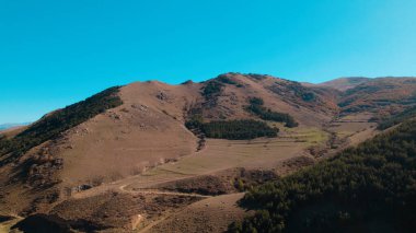Avrupa 'da güzel renkli yoğun orman