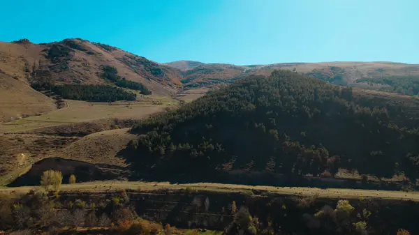 Avrupa 'da güzel renkli yoğun orman