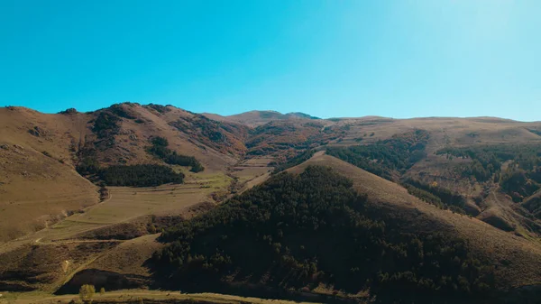 Avrupa 'da güzel renkli yoğun orman