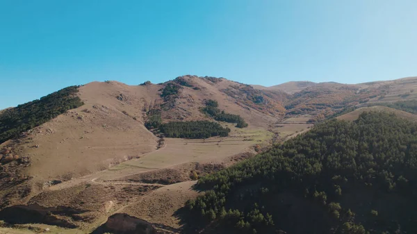 Avrupa 'da güzel renkli yoğun orman