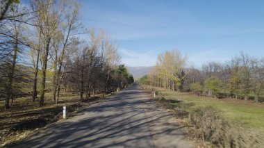 Ormanın yakınındaki Vahşi Yol