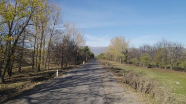 Ormanın yakınındaki Vahşi Yol