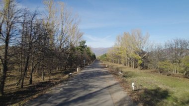 Ormanın yakınındaki Vahşi Yol