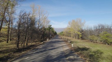 Ormanın yakınındaki Vahşi Yol