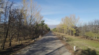Ormanın yakınındaki Vahşi Yol