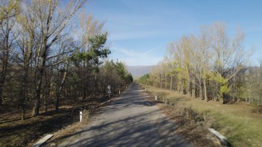 Ormanın yakınındaki Vahşi Yol