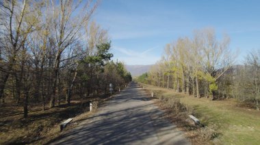 Ormanın yakınındaki Vahşi Yol