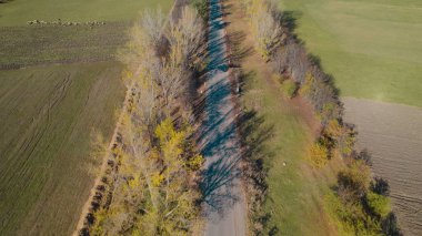 Ormanın yakınındaki Vahşi Yol