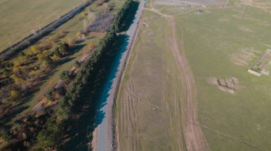 Ormanın yakınındaki Vahşi Yol