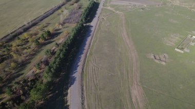 Ormanın yakınındaki Vahşi Yol