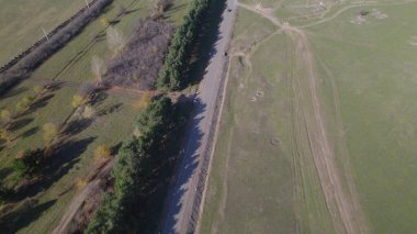 Ormanın yakınındaki Vahşi Yol