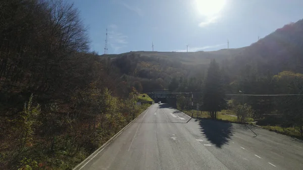 Wild Road Près Forêt — Photo