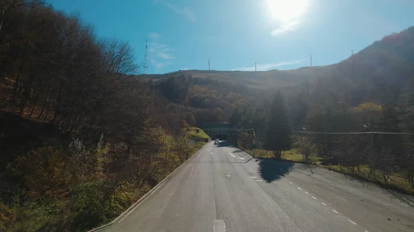 Wild Road Près Forêt — Photo