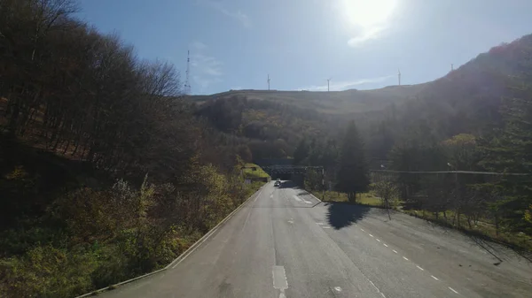 Wild Road Près Forêt — Photo