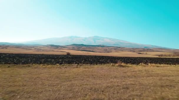 Große Felder Der Nähe Hoher Berge — Stockvideo