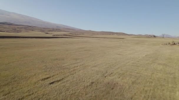 Große Felder Der Nähe Hoher Berge — Stockvideo