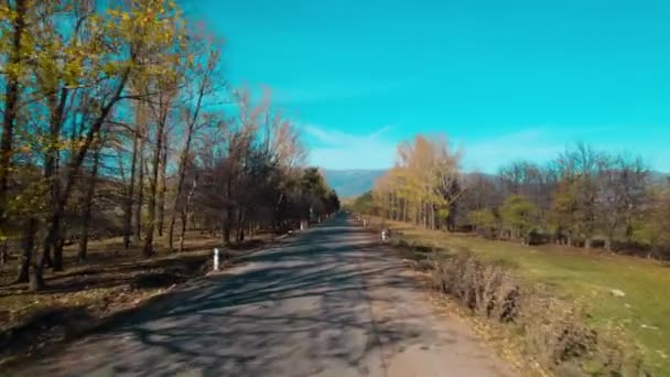 穿过农村土地的长公路 — 图库视频影像