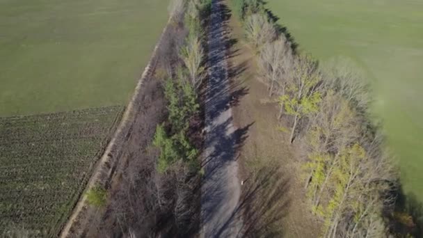 Długa Autostrada Przez Pola Wiejskie — Wideo stockowe