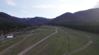 Avrupa 'da güzel renkli yoğun orman