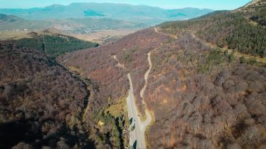 Avrupa 'da güzel renkli yoğun orman