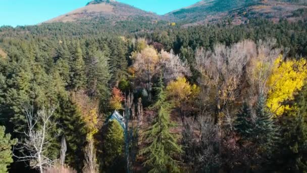Schöne Bunte Dichte Wälder Europa — Stockvideo