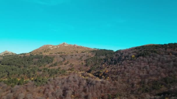 Bela Floresta Densa Colorida Europa — Vídeo de Stock