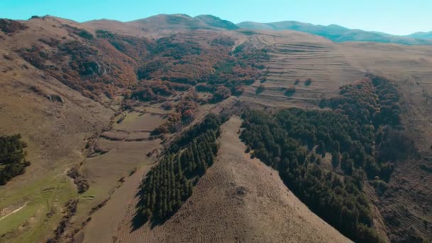 Όμορφο Πολύχρωμο Πυκνό Δάσος Στην Ευρώπη — Αρχείο Βίντεο