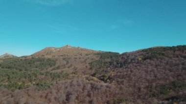 Avrupa 'da güzel renkli yoğun orman