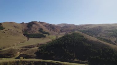 Avrupa 'da güzel renkli yoğun orman