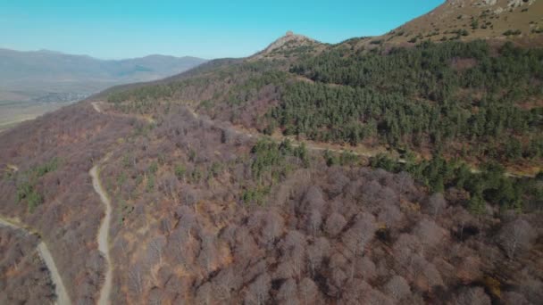 Bela Floresta Densa Colorida Europa — Vídeo de Stock